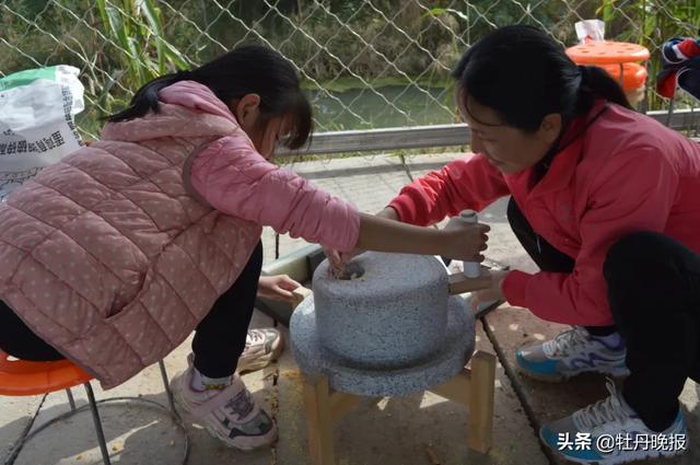 做小农场主 享农耕之乐｜“驴聪聪”亲子农场，打造菏泽农耕文化新名片