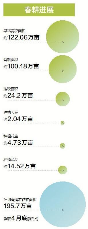 田里“动”起来了！今年梅州计划春播农作物195.7万亩