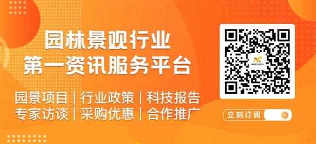 西北苗市：生态小苗供不应求，观花树种成亮点，绿化乔木一言难尽