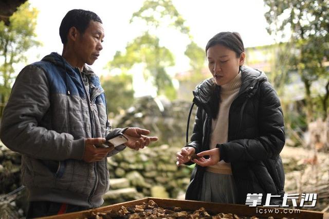 扶贫列传｜长沙女博士湘西龙山“种”蘑菇（视频）