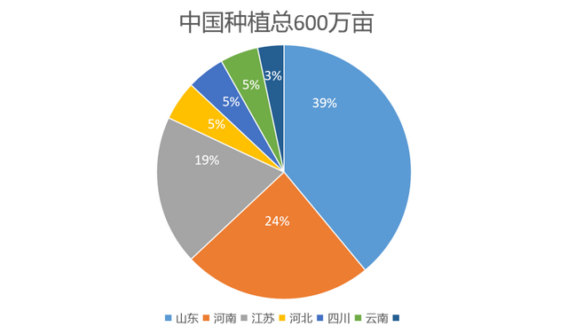 想要种好大蒜，掌握这些技术就可以了