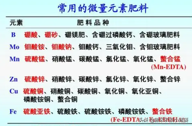 植物生长过程中出现这样不良表现，及时补充微肥就能解决了