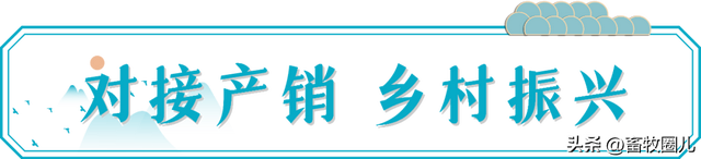 华英农业——信阳名特优农产品走进苏州