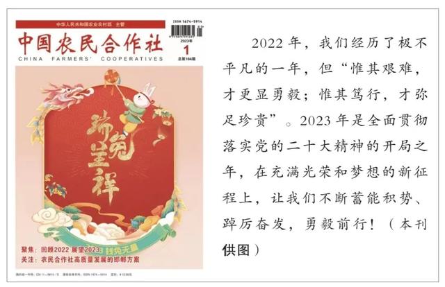 长江流域冬闲田油菜种植的现状趋势、服务支撑和产业链拓展情况报告