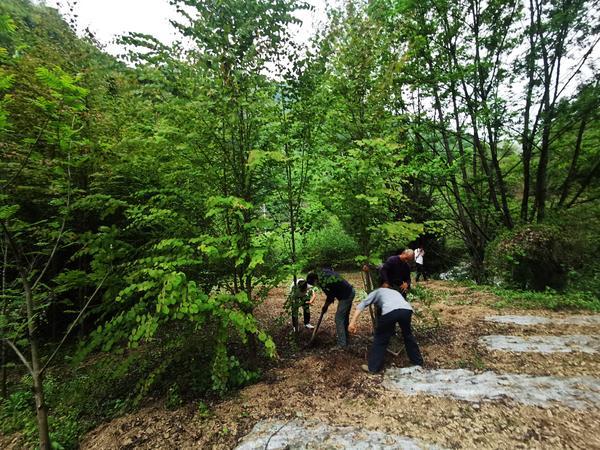 神农架国家公园：引导村民种植珍稀苗木 发展绿色经济