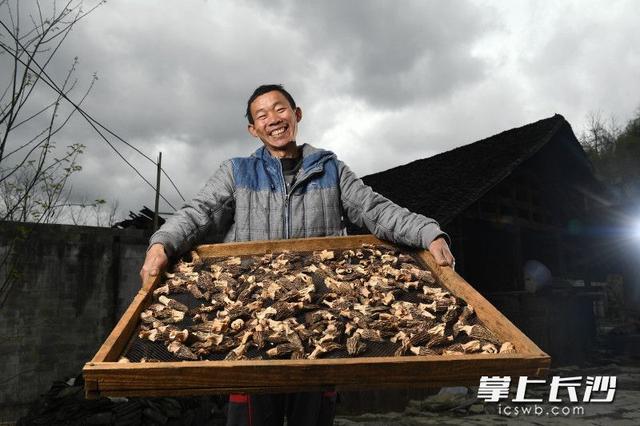 扶贫列传｜长沙女博士湘西龙山“种”蘑菇（视频）