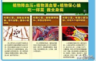 【星农科技】保健蔬菜救心菜的市场前景和种植效益