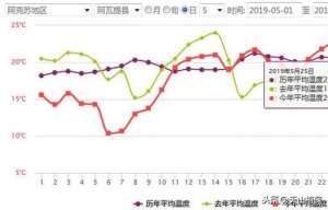 棉花地膜什么时候种植(5厘米地膜是减轻棉花大小苗的关键，你怎么看)