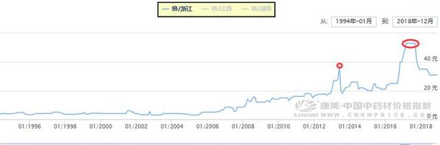 酸橙和甜橙晒干后就成了中药材——枳实