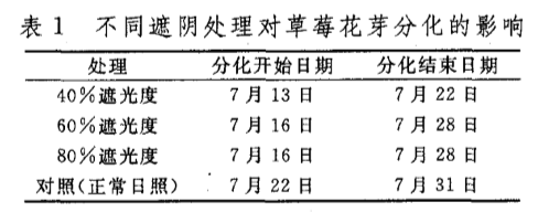 草莓不同生长阶段，遮阴方法不同！用错了会减产！方法已总结好了