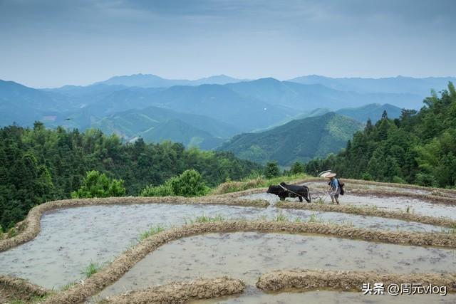 耕地全部上交，实行统一耕种，每月向农民补贴2000元，你愿意吗？