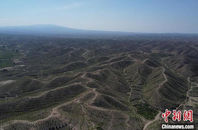 甘肃平川“地下挖煤，地上储碳”：储备林盘活“双碳经济”