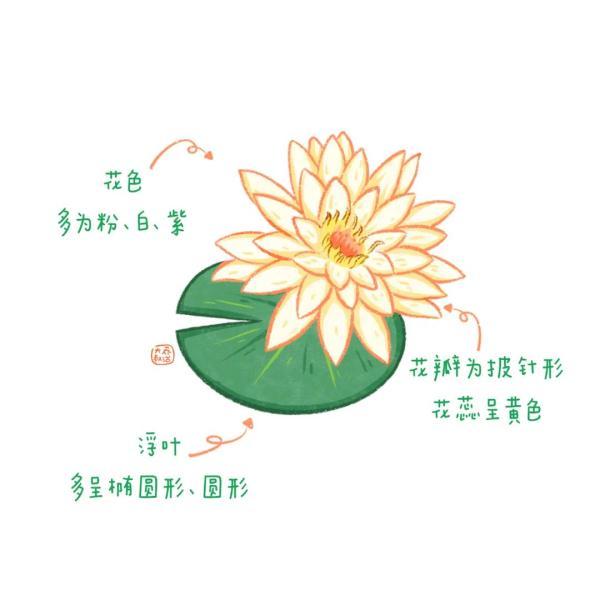 不认识花草？这份花草图鉴收好