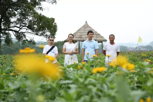 宜春梅花山庄一种神奇的花即将绽放