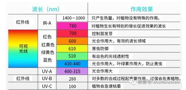 LED植物补光灯，让蔬菜在天天可以“晒太阳”