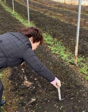 种植平菇技术方法视频(种蘑菇遇难题，湖北宜昌95后小伙发视频求助，没想到当地农科院专家真来了)