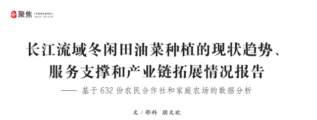 长江流域冬闲田油菜种植的现状趋势、服务支撑和产业链拓展情况报告