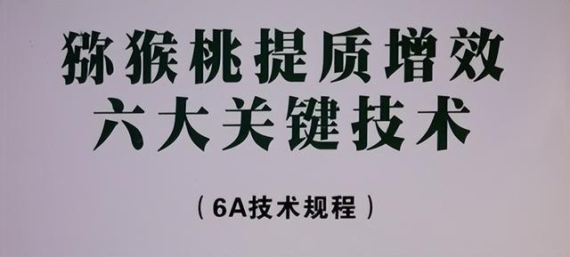 【区域品牌宣传：武功猕猴桃】新型的栽培技术详解