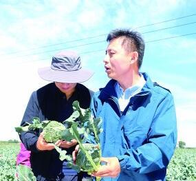 农业生产也有“高级定制”——奔走在田间地头的青年科技特派员