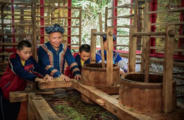 古茶起源在贵州丨望谟：茶界的“大熊猫”