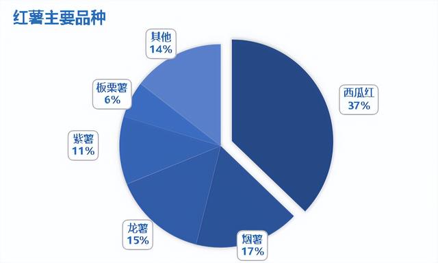 红薯产业链3大变化，告诉你怎么种、怎么卖才能最收获最高效益