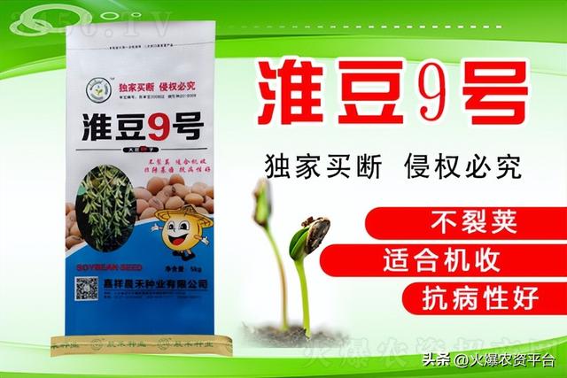 如何选择好的大豆品种？大豆种子这么选，错不了！