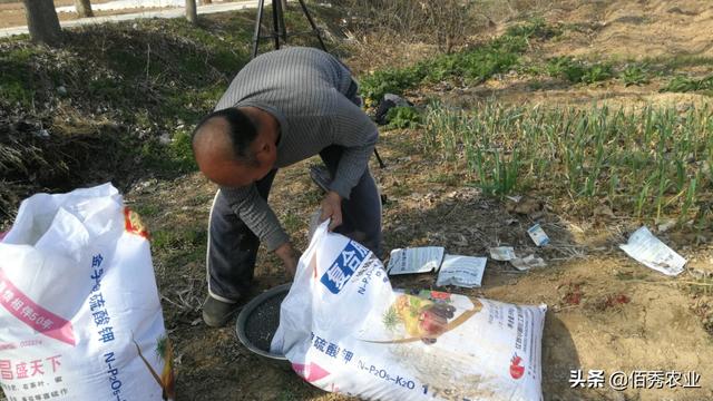 中药材芍药种植技术，春季管理是核心，掌握4个窍门，小白变专家