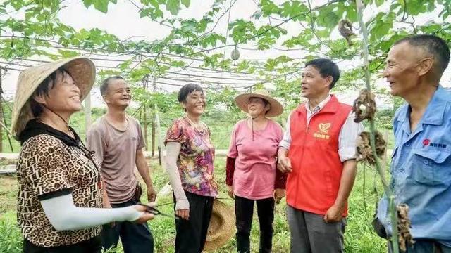 一个瓜强了一片村 一粒子富了一群人 煤山吊瓜地里的致富经