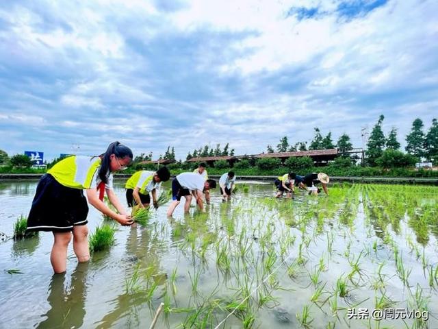 耕地全部上交，实行统一耕种，每月向农民补贴2000元，你愿意吗？