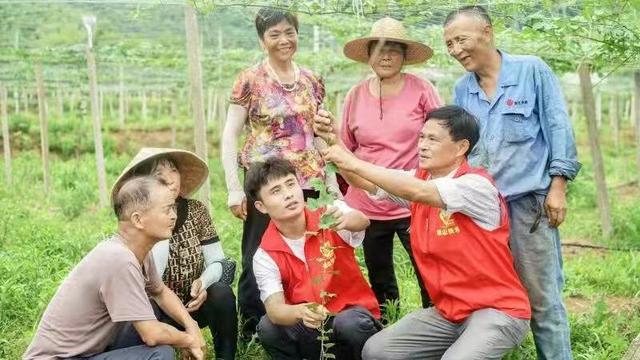 一个瓜强了一片村 一粒子富了一群人 煤山吊瓜地里的致富经