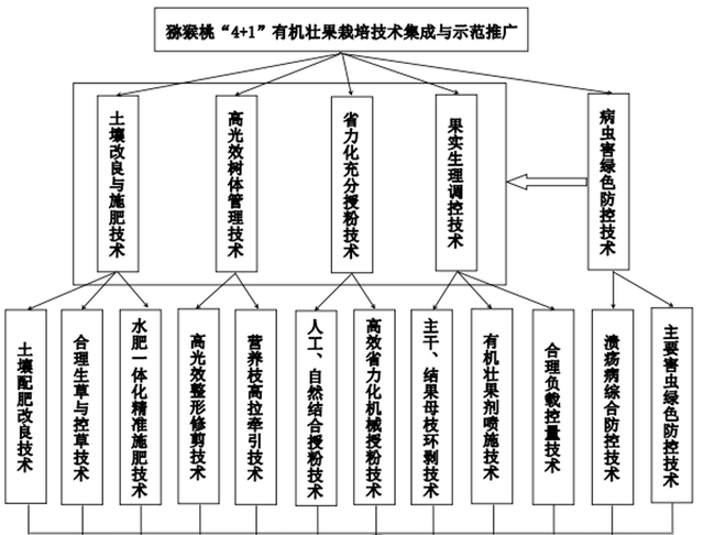 【区域品牌宣传：武功猕猴桃】新型的栽培技术详解