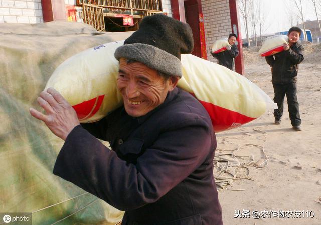 史上最实用、最接地气的水稻高产种植技术（种植大户看了不后悔）