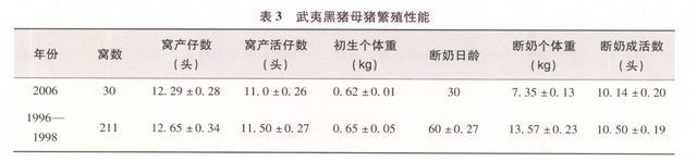 武夷黑猪