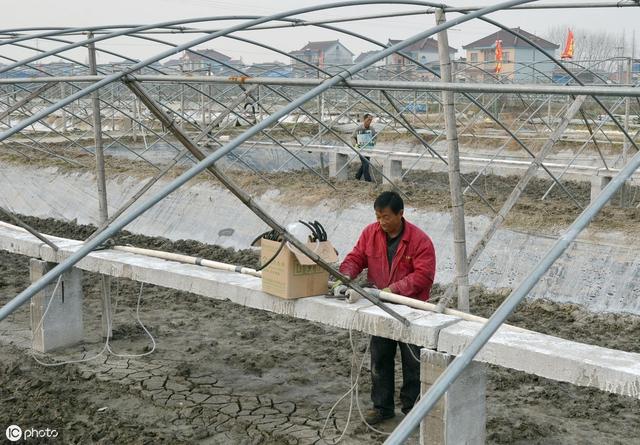 蝌蚪养殖在秋天需要注意池塘溶氧量问题，这3点来解决浮头和缺氧