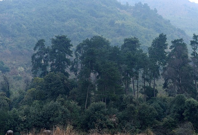 湖南深山满是鬼崽石像，水池无端冒泡怪事不断，村民吓得撒腿就跑