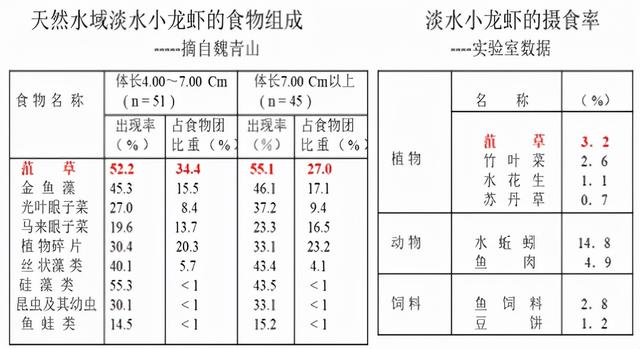 “虾多少，看水草”舒新亚：浅析小龙虾养殖中的水生植物及其作用