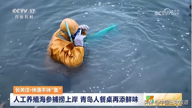 休渔期怎样实现“海鲜自由”？这篇馋嘴指南拿走不谢！