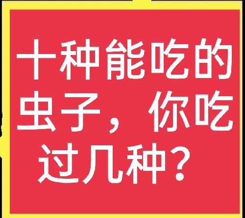 这些常见的虫子，其实都是美味佳肴，可惜很多人不敢吃