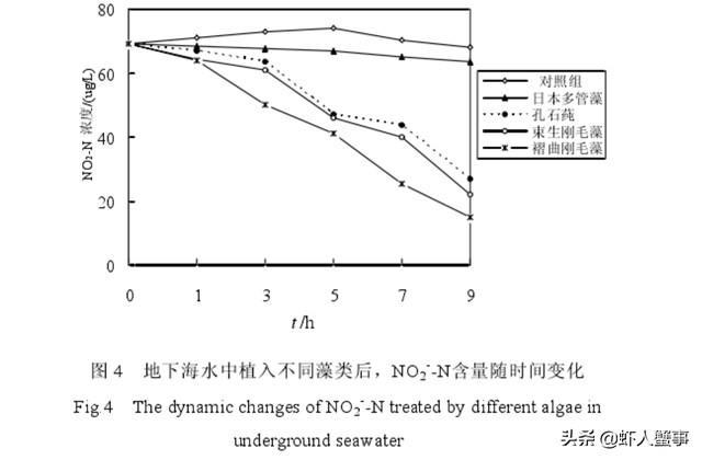 养虾先养水，小龙虾养殖户很少关注的这些水质指标也有大作用