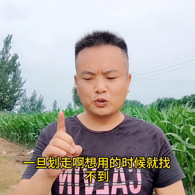 种植水稻高产配方，稻黄金二代促进水稻分蘖抗倒伏，结大穗...