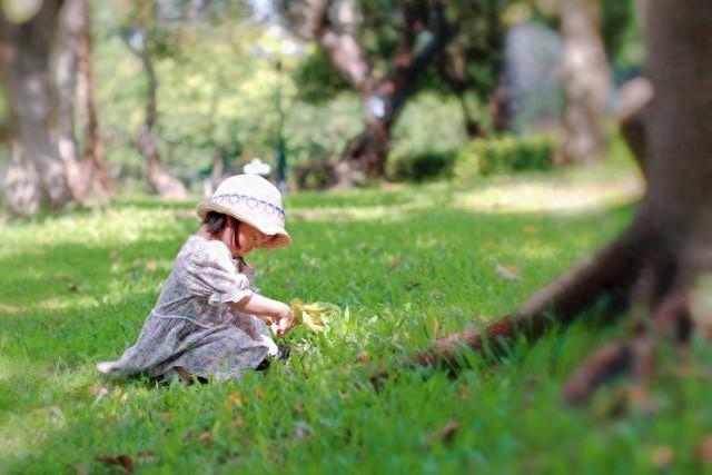 “门内有3树，子孙代代富”，是哪三种树？看看你家院里有没有种