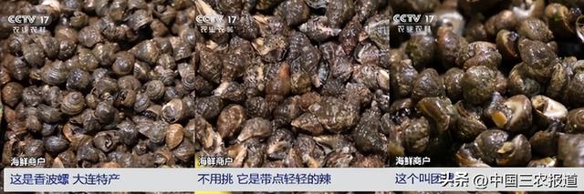 休渔期怎样实现“海鲜自由”？这篇馋嘴指南拿走不谢！