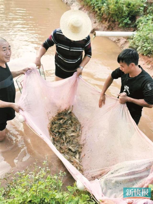 善“建”美好，万象“耕”新