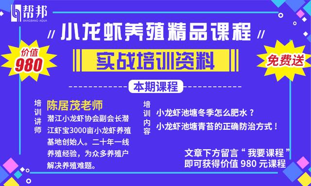 实战派干货：三大高效小龙虾养殖模式技术分享，伴你全年养殖无忧