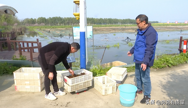 潜江龙虾养殖又出新招，黄鳝天敌都敢一起养，1亩增收800元