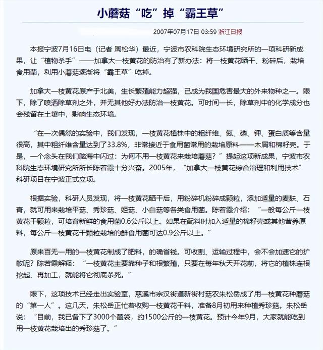 中国人太会过日子了！加拿大一枝黄花成牛羊美食，秸秆还能种蘑菇