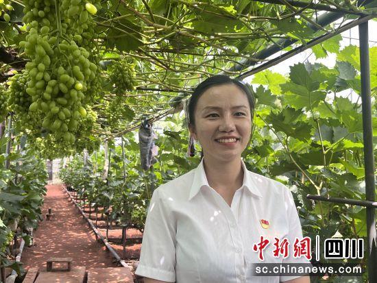 葡萄串起凉山渔村“甜蜜经济” 西昌赵家村果香飘