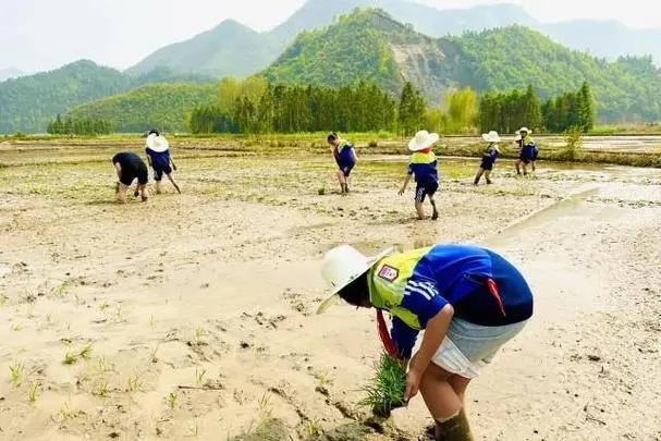 养殖新纪元：从一公斤到五十公斤的飞跃，每公斤三十元的黄金收益