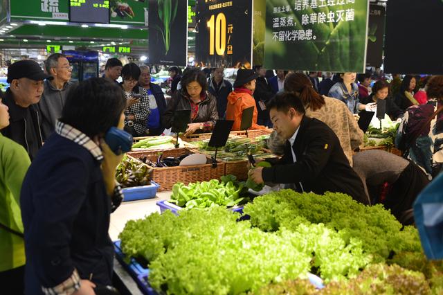 “活体销售”有机蔬菜受热捧 金山有机种植基地“集体出击”