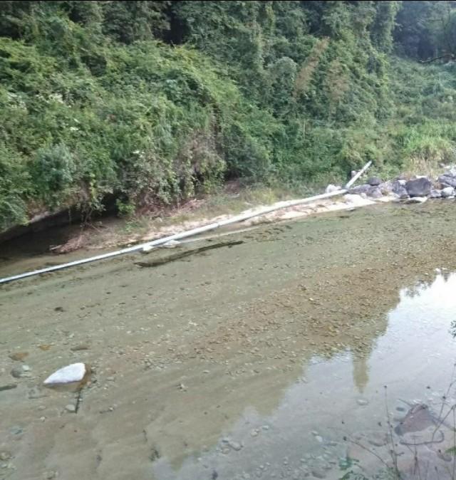 粤北山区农村养殖北江光唇鱼的前景